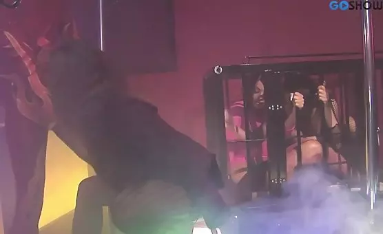 Bisexual Strippers Enslaved in Kinky Cage Playground